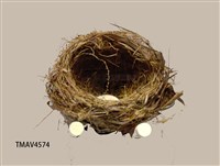 藏品(白頭翁鳥巢)的圖片